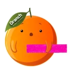 oranch-viniles-productos